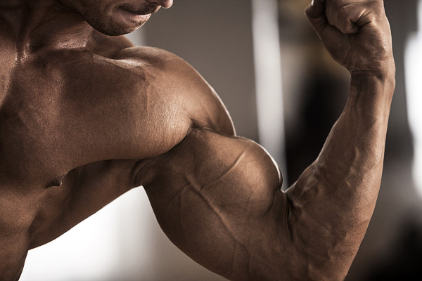 Health Benefits of BCAA 5 biceps