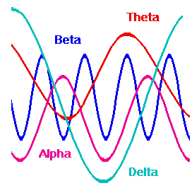 Alpha Brain Review: Alpha Brain Supports Alpha Wave Production 1 alpha brain review 4 277