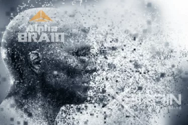 Unlocking Your Mental Potential: Onnit's Cognitive Enhancers 5 Onnit's Cognitive Enhancers
